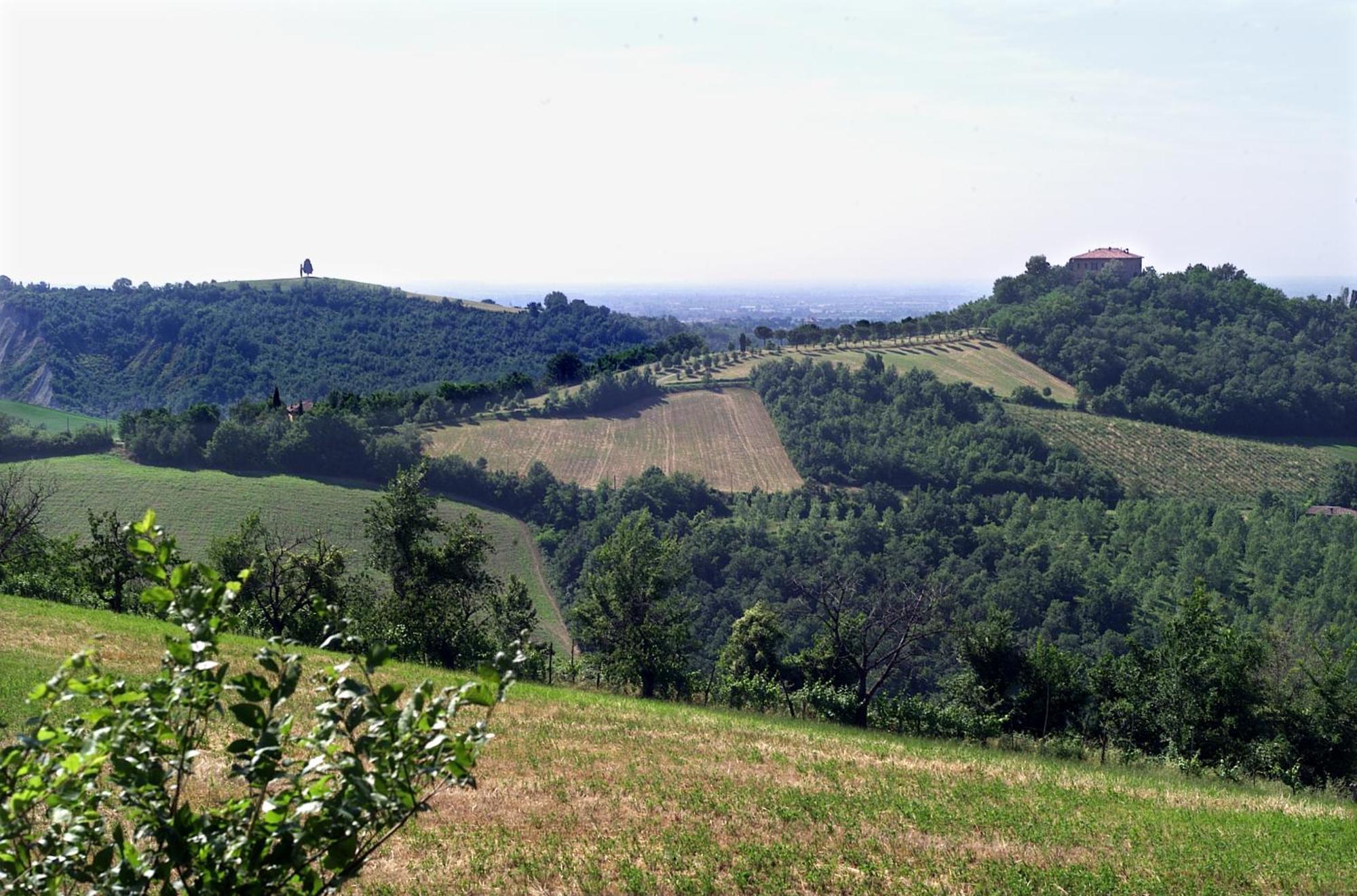 Agriturismo Montevecchio Isolani Monte San Pietro Eksteriør billede