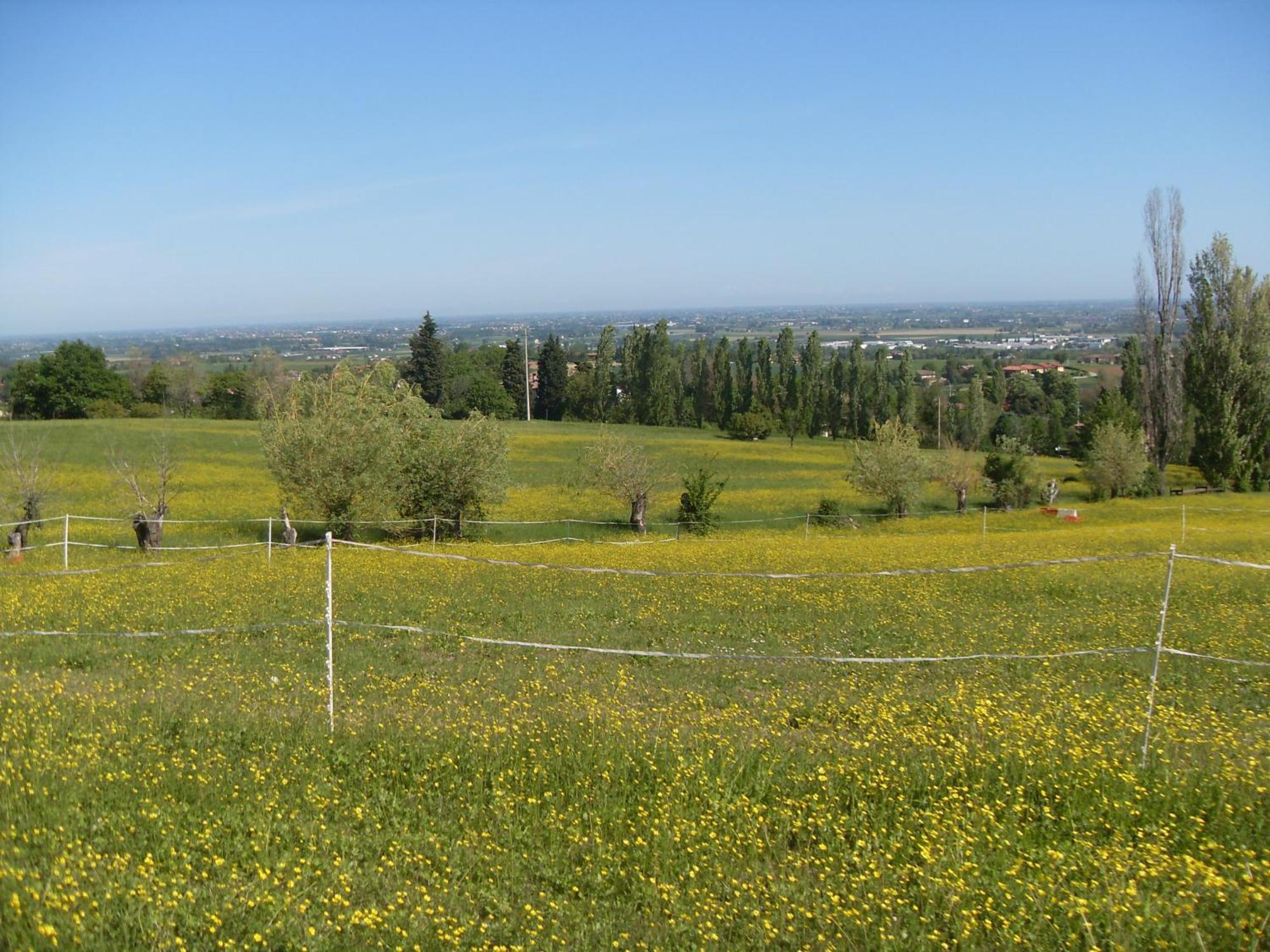 Agriturismo Montevecchio Isolani Monte San Pietro Eksteriør billede