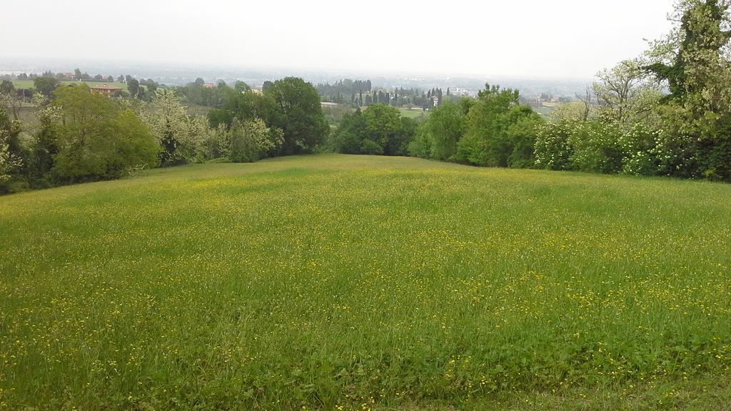 Agriturismo Montevecchio Isolani Monte San Pietro Eksteriør billede