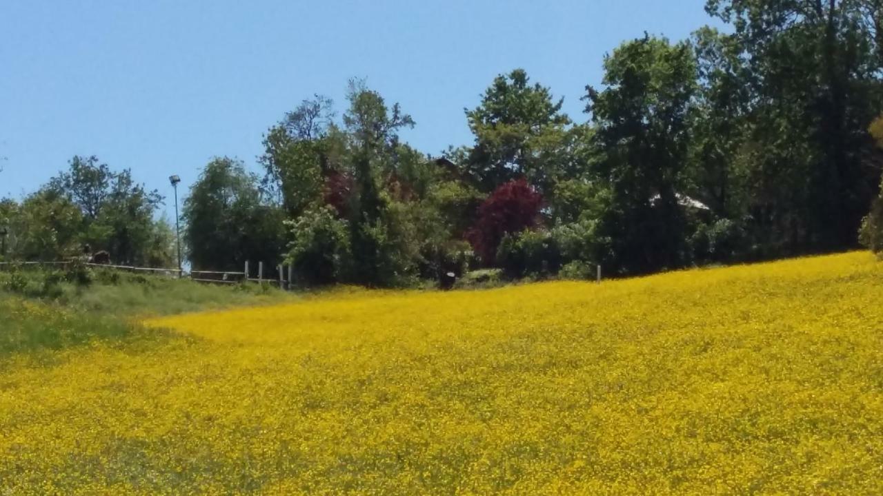 Agriturismo Montevecchio Isolani Monte San Pietro Eksteriør billede